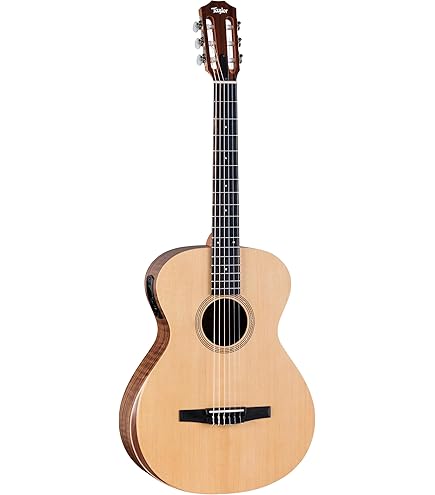Amazon.com: Taylor Academy 12e Grand Concert Sitka Spruce/Sapele w